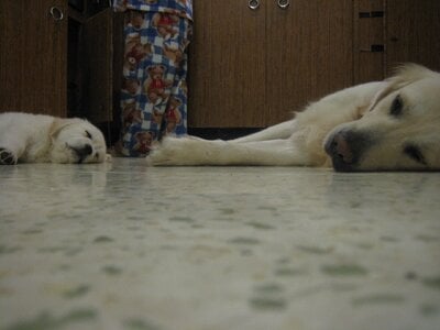 IMG_1895.jpeg