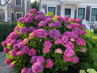 IMG_6149.jpeg