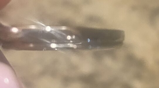 IMG_1162.jpeg