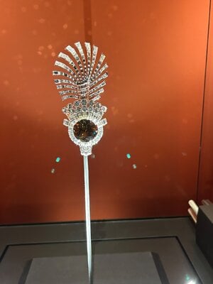 IMG_2369.jpeg