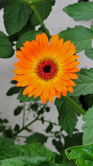 20250717_145029.jpg