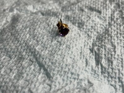 IMG_4950.jpeg