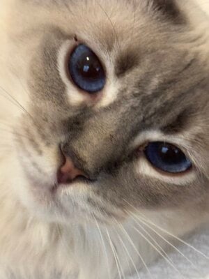 IMG_2839.jpeg