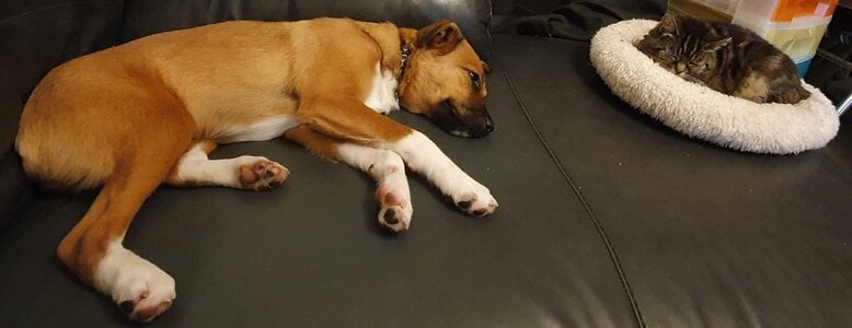 20210812_101420.jpg