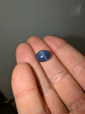 PXL_20250728_145247366.MACRO_FOCUS.jpg