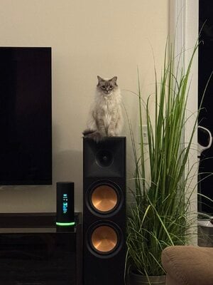IMG_3766.jpeg