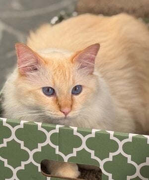 IMG_3921.jpeg