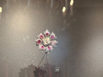 IMG_7922.jpeg