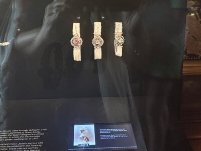 IMG_7932.jpeg