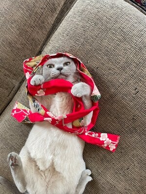 IMG_2069.jpeg