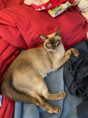 IMG_1964.jpeg
