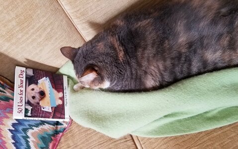 20220312_110228.jpeg