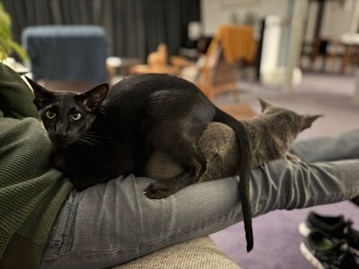 IMG_2181.jpeg