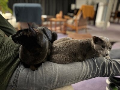 IMG_2183.jpeg