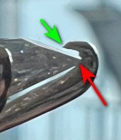 IMG_263.jpeg
