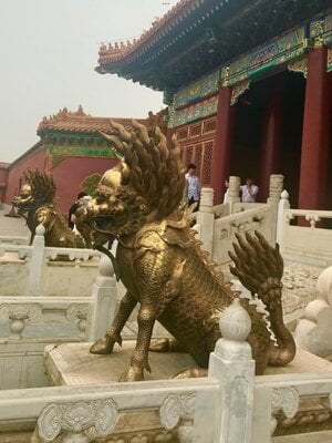 IMG_0452.jpeg