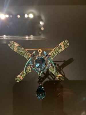 IMG_6507.jpeg