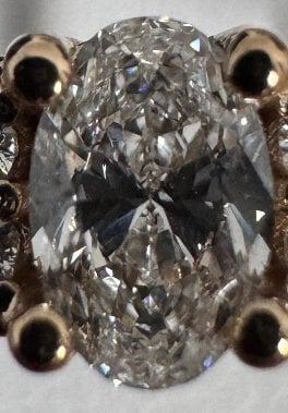 IMG_0506.jpeg
