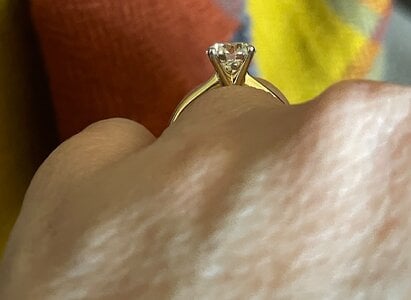 IMG_0919_GemView_1.35CTLGD_Tiffany_Style_Profile.JPEG