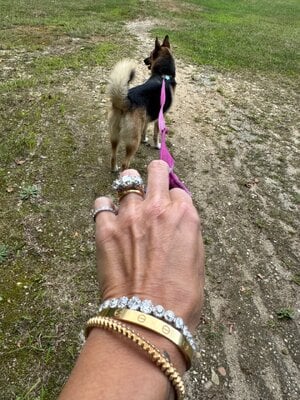 IMG_2732.jpeg