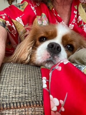 IMG_2020.jpeg