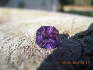 Picture 248.jpg