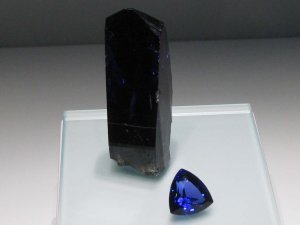 IMG_0931.JPG