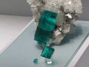 IMG_09350.JPG