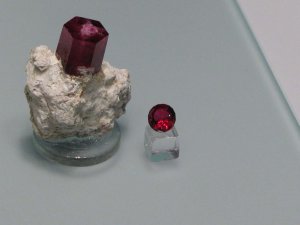 IMG_09420.JPG