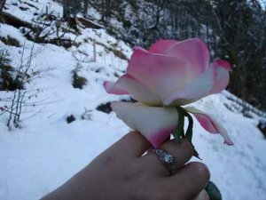 get-attachment-4.jpg