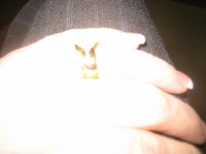 IMG_0017 (Medium).jpg IMG_0017 (Medium).jpg