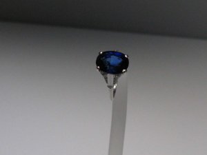 IMG_0980.JPG