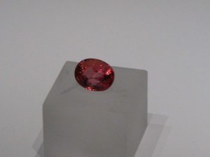 IMG_0981.JPG