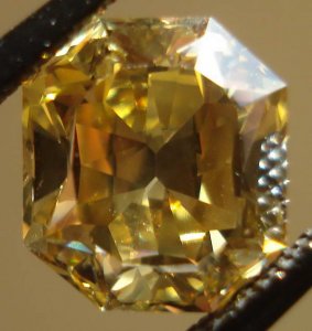 r2961c.jpg