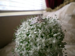DSCN1835.jpg