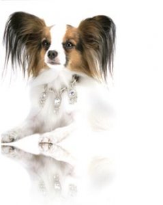 lovedogsdiamonds.jpg