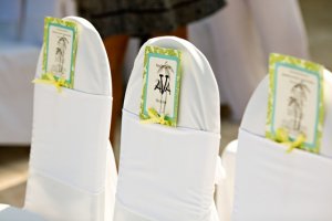 CDNsWeddingProPic13.jpg