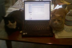 WFH.jpg