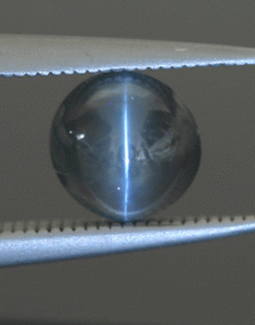 Sep-08-CEAlexI.gif
