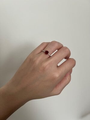 IMG_3382.jpeg
