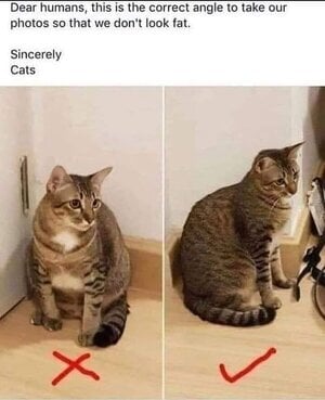 IMG_6007.jpeg