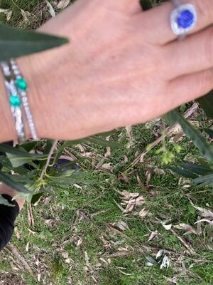 IMG_9666.jpeg