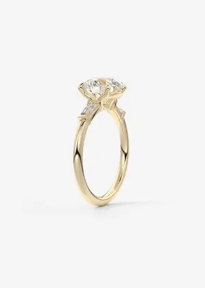Frank Darling Plunge Set148E-RDPL3TByellow_00004.webp
