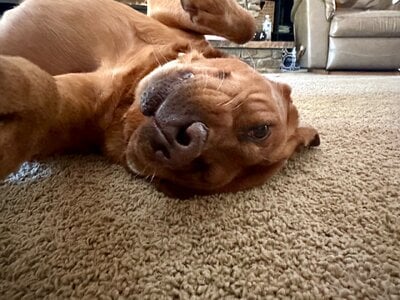 IMG_0138.jpeg