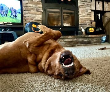 IMG_0281.jpeg