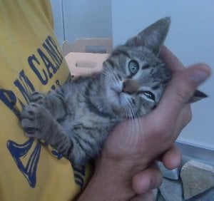 OliverAdoptionDay.JPG