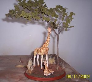 Giraffes front.JPG Giraffes front.JPG