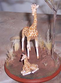 Giraffes front3.JPG