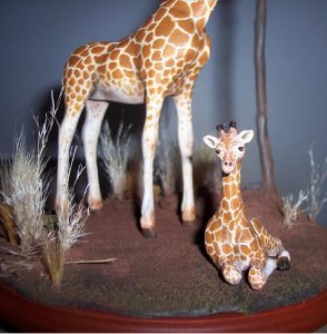 Giraffe baby close.JPG