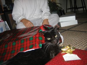 screwchristmassayslejo.jpg